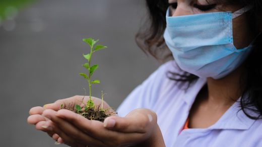 Plant, seedling, researcher — Saving Money Without Compromising Quality at Online TRT Clinics